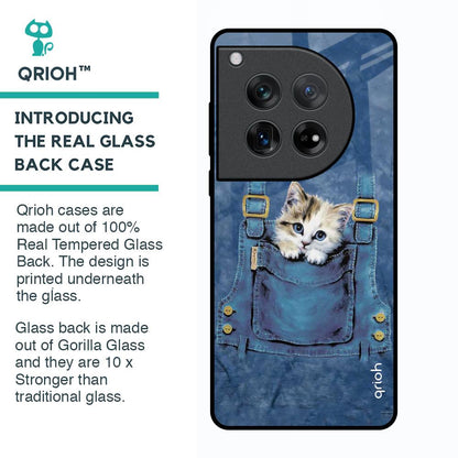 Kitty In Pocket Glass Case For Oneplus 12