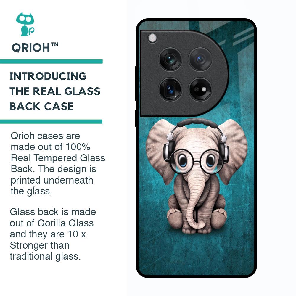 Adorable Baby Elephant Glass Case For Oneplus 12