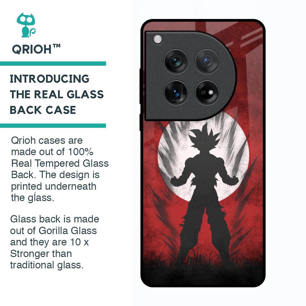 Japanese Animated Glass Case for Oneplus 12