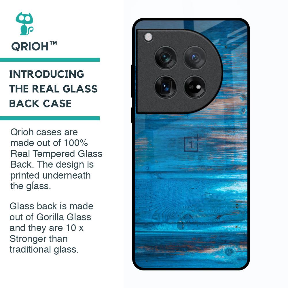 Patina Finish Glass case for Oneplus 12