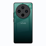 Palm Green Vivo X100 5G Glass Back Cover Online