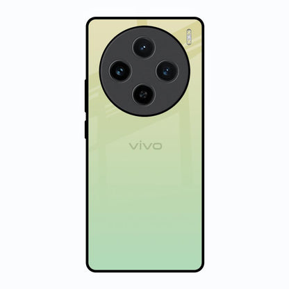 Mint Green Gradient Vivo X100 5G Glass Back Cover Online