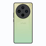 Mint Green Gradient Vivo X100 5G Glass Back Cover Online