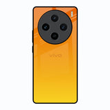 Sunset Vivo X100 5G Glass Back Cover Online