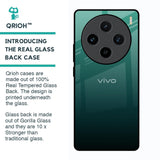 Palm Green Glass Case For Vivo X100 5G