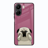 Funny Pug Face Redmi 13C Glass Back Cover Online
