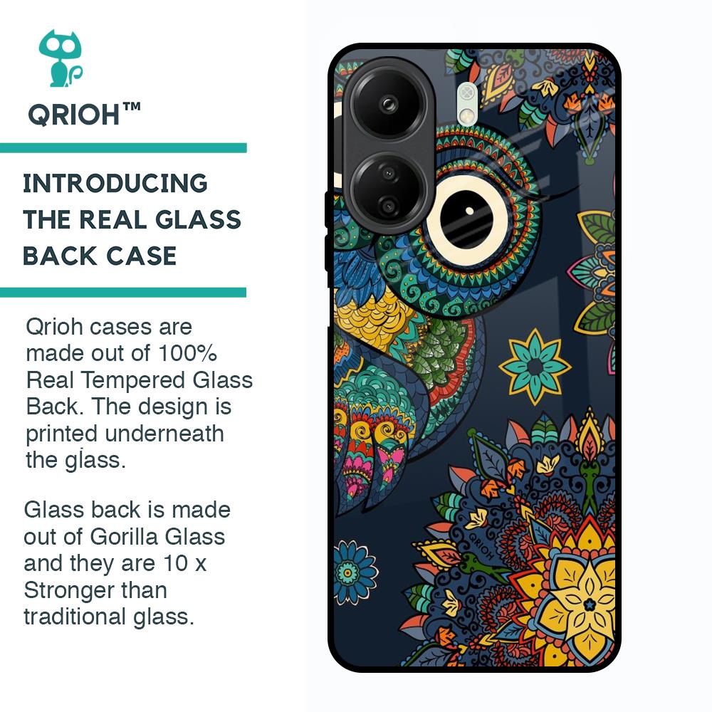 Owl Art Glass Case for Redmi 13C