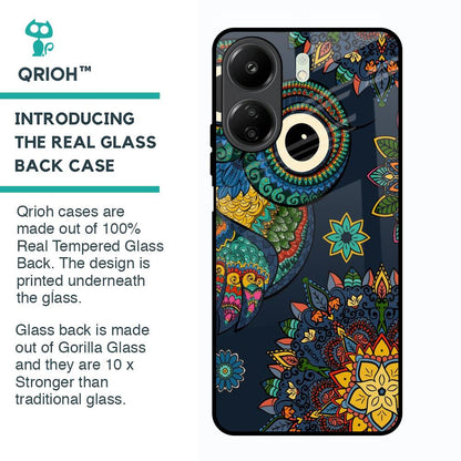 Owl Art Glass Case for Redmi 13C