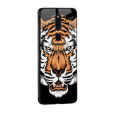Angry Tiger Glass Case For Oppo Reno8 5G
